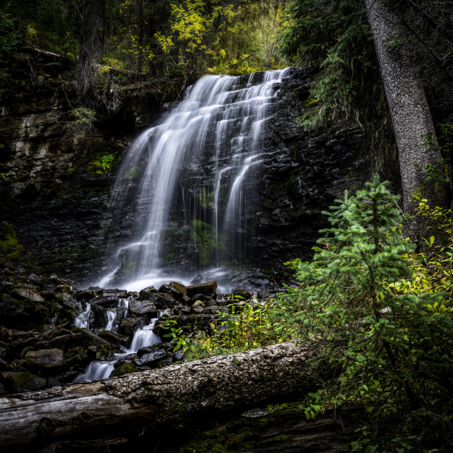 Summer Activities Dolores Colorado Dolores River Valley Vacation Rentals