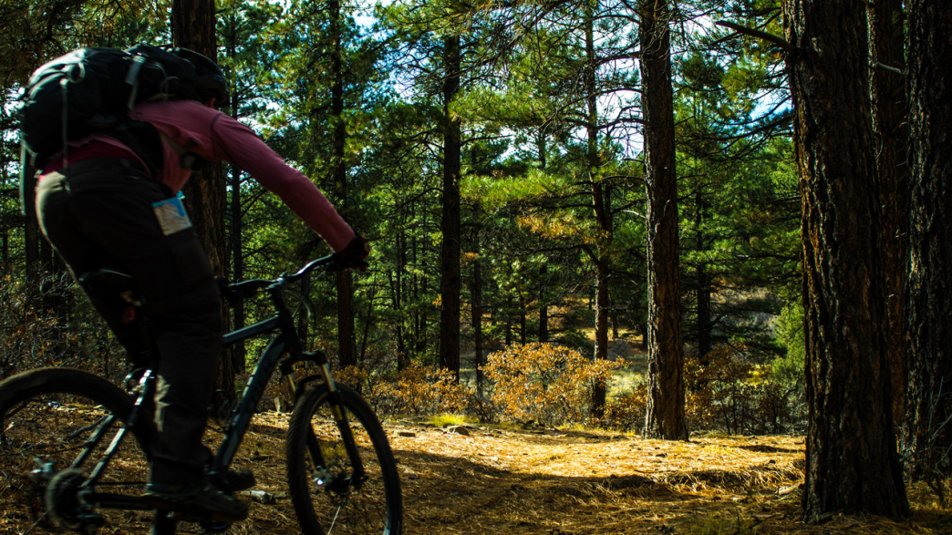 Mountain Biking in Boggy Draw