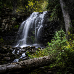 Dolores Colorado Summer Activities